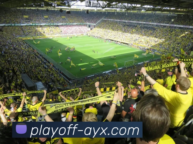 爱游戏APP 体育赛事宣传图